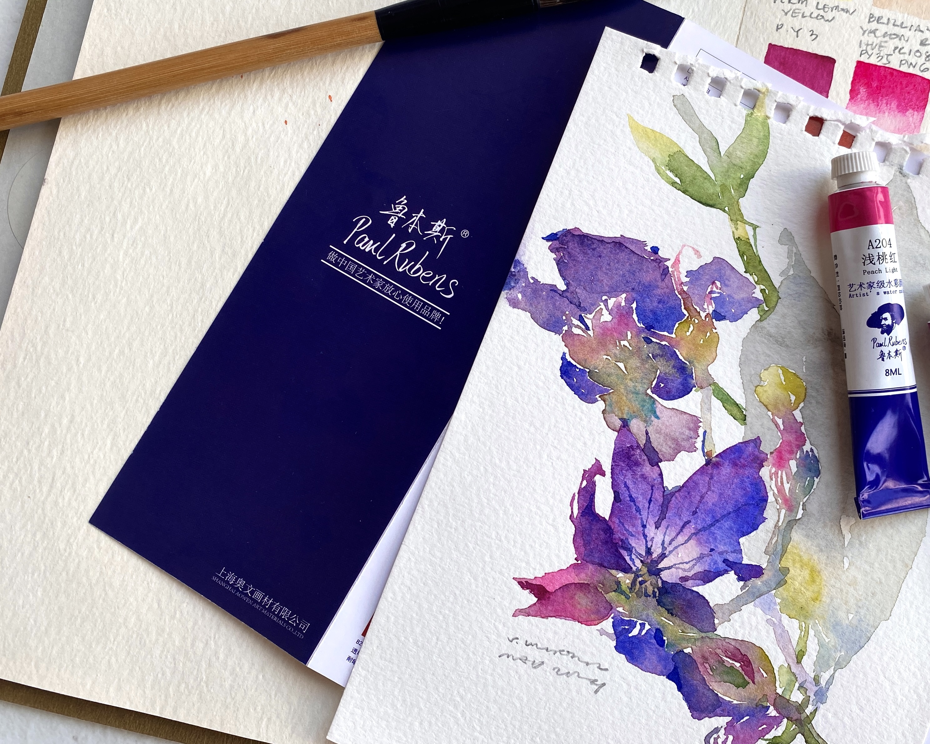Paul Rubens Liu Yi Curated Watercolor Set Review